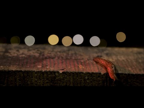 stuhrwerk and Mosayk & Tobzen