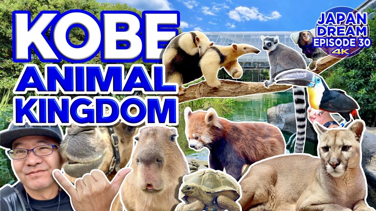 Discover captivating highlights of Kobe Animal Kingdom.