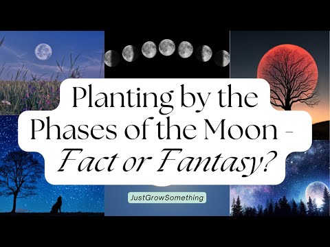 Planting by the Phases of the Moon - Ep 270
