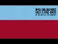 Noel Gallagher S High Flying Birds In The Heat Of The Moment Official Audio
