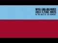 Noel Gallagher's High Flying Birds - In The Heat Of ...