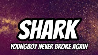 Download lagu YoungBoy Never Broke Again - Shark (Lyrics) mp3 Download lagu YoungBoy Never Broke Again - Shark (Lyrics) mp3