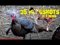 35 Turkey Head Shots In 5 Minutes Bow Edition