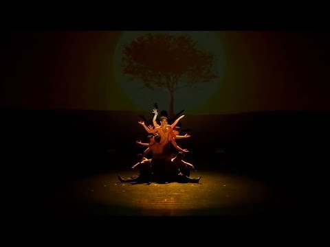 The Heima ' 몽유 천사(Svefn-g-Englar)' Choreography by Gon