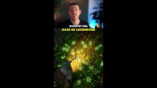 Unendlich verbesserte Kraftfaust-Kräuterpastillen könnt ihr mit diesem Trick getten  #CrimsonDeser