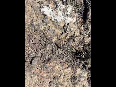 Jacobacci! Lugar mágico . A tan solo 250 km de Bariloche 