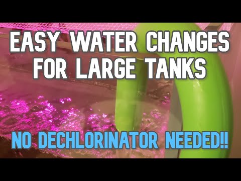 NO DECHLORINATOR Water Changes!!