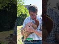 video 4tiJu7tjZBg