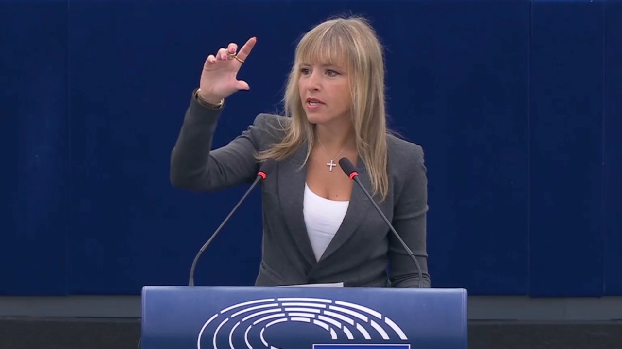SARDONE: "VOI POTETE SCRIVERE UN LIBRO SU COME DISTRUGGERE L'ECONOMIA EUROPEA E L'AUTOMOTIVE"