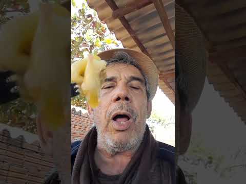 LULU DANCANDO TAPIRA PR JULHO 2025