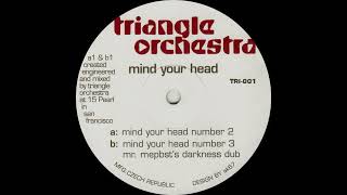 Triangle Orchestra – Mind Your Head Number 2 - TRI001 2000