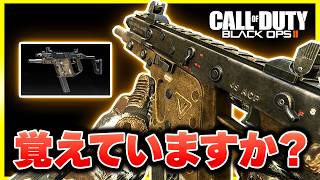 【CoD:BO2】最強ではないのに、なぜか使いたくなる。Vector K10が懐かしすぎる【ぐっぴー】