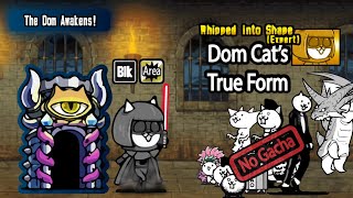 Whipped into Shape (Expert) | Dom Cat's True Form | Dark Lazer | The Battle Cats | No Gacha