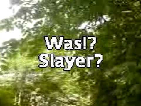 Mein bier ist leer slayer