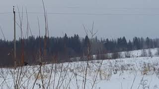 Ссылка