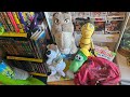 SESAME STREET Magazines MUPPETS SHREK 4 D MORE Thrift Store Finds