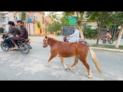 Cassie Ko Aj Bike Pr Khoob Bhgaya😍