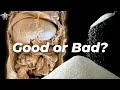 What Sugar ACTUALLY Does to the Body
