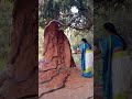 Amman Songs Amman Ammansongstamil Ammandevotional Ammansongstamil Tamil God