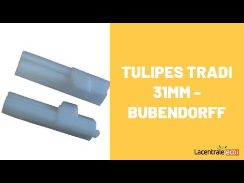 Tulipes TRADI 31mm - Bubendorff