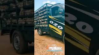 Download lagu Ayam Balap Kalimantan mp3 Download lagu Ayam Balap Kalimantan mp3