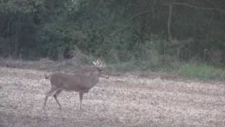 preview picture of video '2 Monster Bucks Face Off'