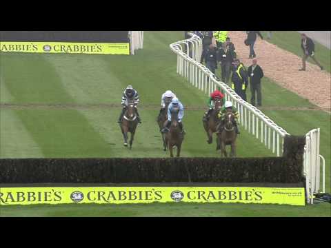 2014 Pinsent Masons Manifesto Novices Chase - Uxizandre - Racing UK