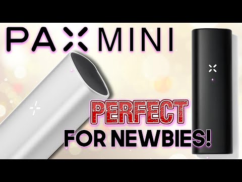 PAX Mini Review | A Perfect Dry Herb Vaporizer For Beginners | GWNVC's Vaporizer Reviews