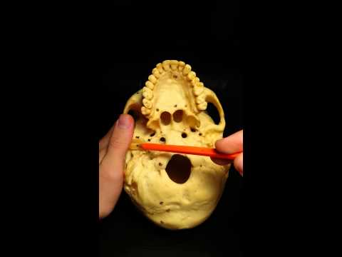Malattie delle articolazioni dal computer Articolazioni doloranti della gamba destra