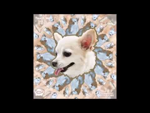 【DANCERUSH STARDOM / SPARK FESTIVAL 2020 】Touch Me / C-Show