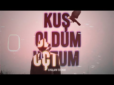 BARO x Naz Eda - Kuş oldum uçtum (Kinetik Tipografi)