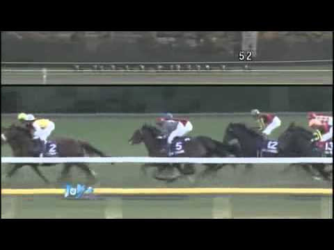 Gentildonna - Japan Cup 2012
