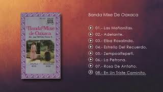 En Un Triste Caminito - Bolero