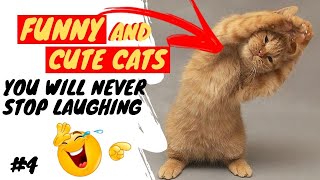 SUPER SHORTS 03 - FUNNY CATS AND CUTE.