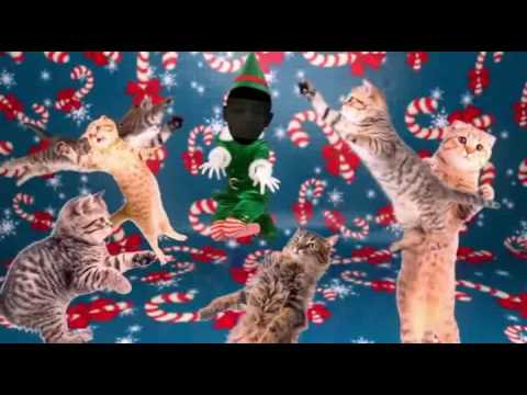 Kittens chrismas party!