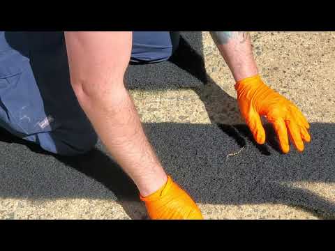 How to Protect a Home from Carpenter Bees in Toms River,  NJ