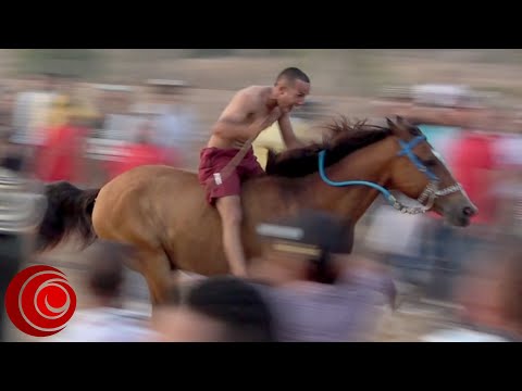 CARRERAS a CABALLO 🐎 San Estanislao vs Arjona 🐴 en Arjona Bolívar, Colombia. 17 de marzo de 2024