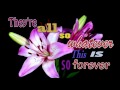 You Just Cant Be Replace Lyric Video