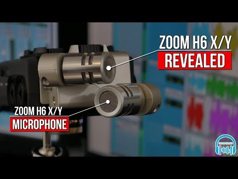 Zoom H6 X/Y Microphone | REVEALED 🎙️