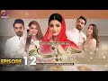Haseena - Episode 12 | Laiba Khan, Zain Afzal, Fahima Awan | Pakistani Drama | C3B1O