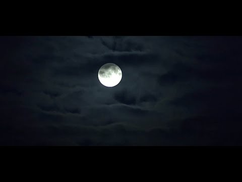 Promotional video thumbnail 1 for Serenading the Moon