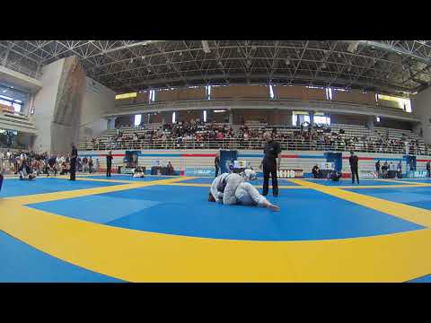 Ibjjf Madrid open 2017 - Purple Belt Open Class - Caroline Prill vs.  Soojin Hong