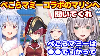 ぺこらマミーに聞いてほしい事をマリンにお願い＋ぺこらに菓子折り持ってく【ホロライブ切り抜き/白銀ノエル/兎田ぺこら】