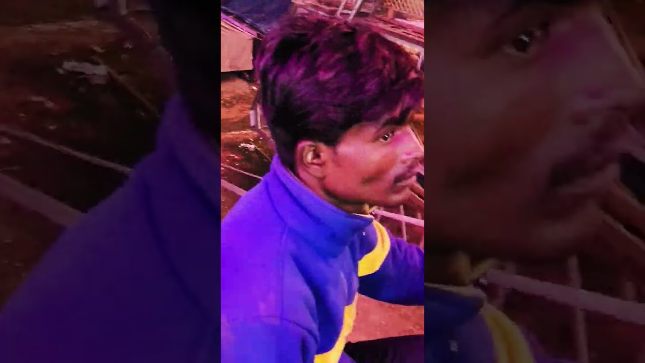 A Ferris wheel is  ride consisting of a rotating upright wheel with passenger-carrying components.