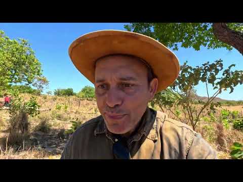 A Venda essa Fazenda de 15 alqueires e 80 Litros - Niquelândia GO