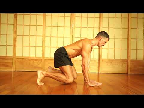 UNDER SWITCH - Animal Flow Level 1