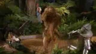 Wizard of Oz- Put em up