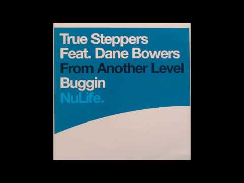 True Steppers feat Dane Bowers - Buggin