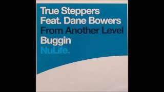True Steppers feat Dane Bowers - Buggin