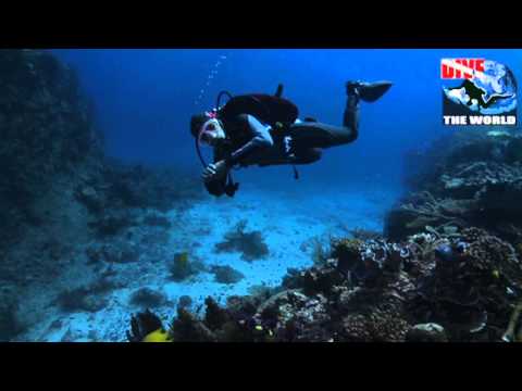 Diving Fiji, Scuba dive in Taveuni, Blig